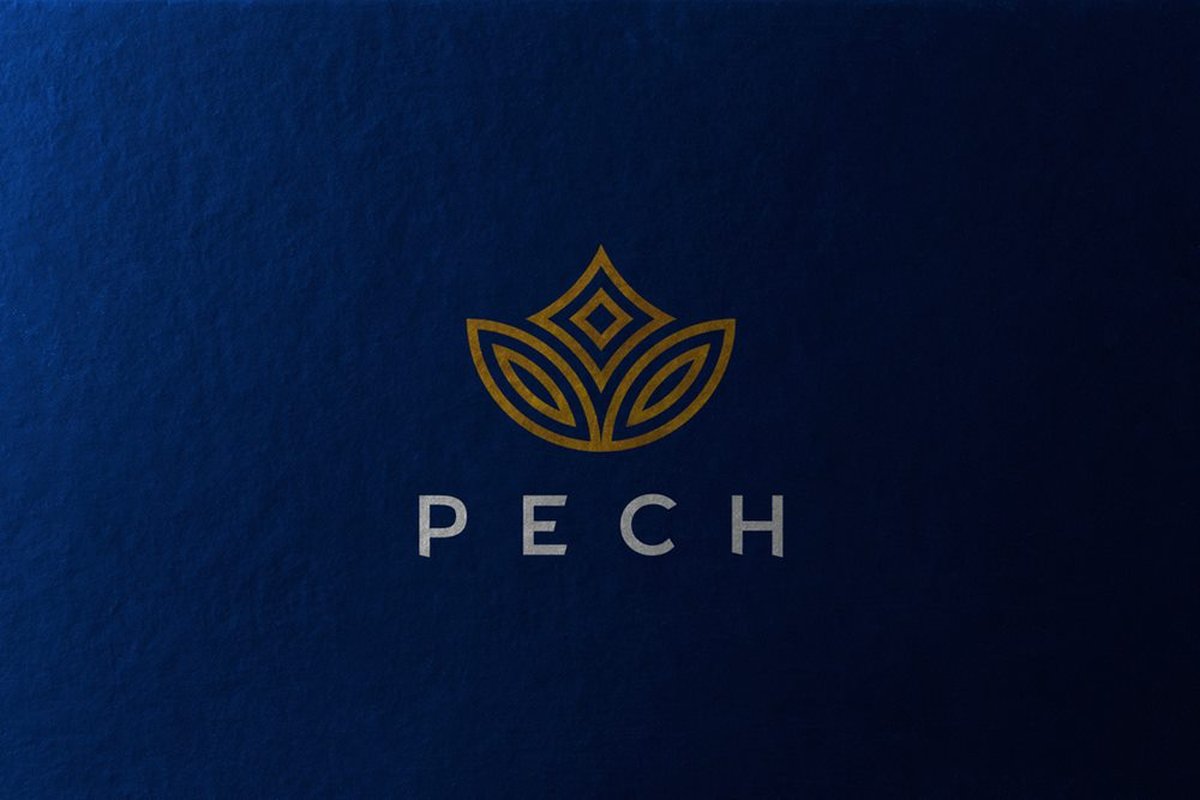 PECH化妝品品牌設(shè)計