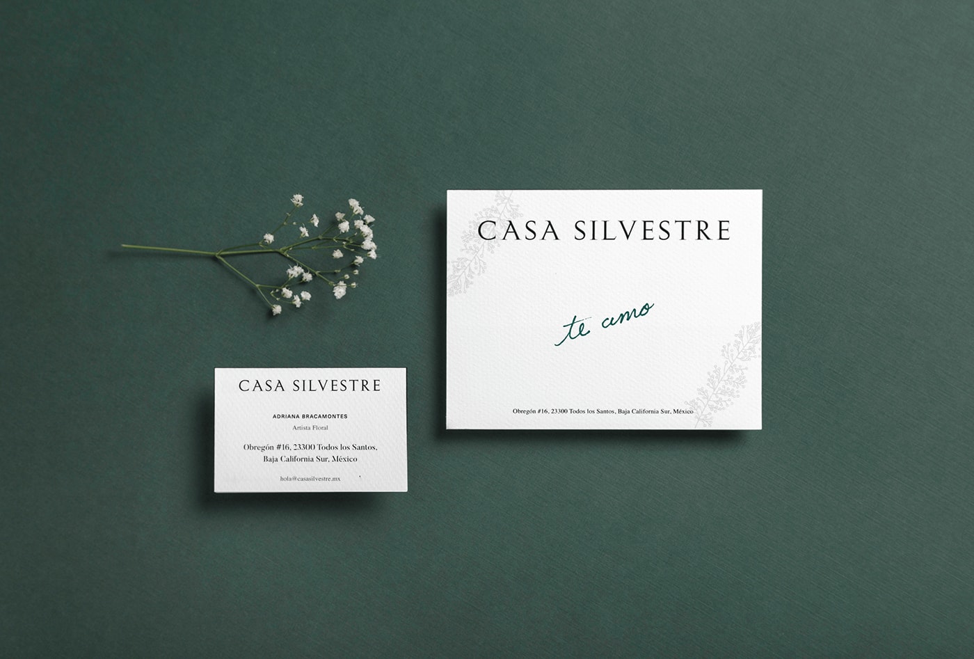 Casa Silvestre浪漫花店品牌logo設計與VI視覺設計，酒店VI設計，品牌視覺設計，企業(yè)VI設計，深圳VI設計，左右格局