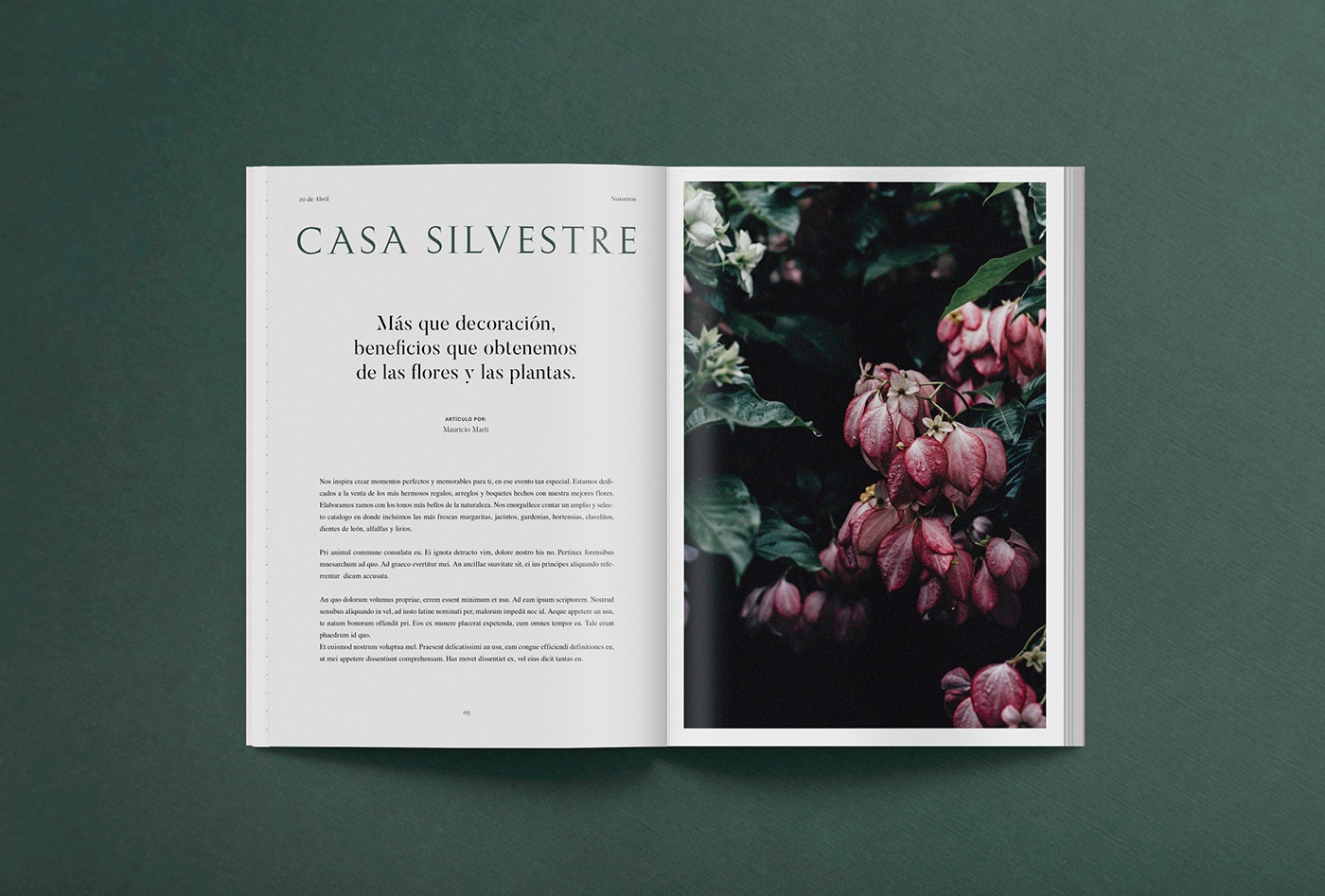 Casa Silvestre浪漫花店品牌logo設計與VI視覺設計，酒店VI設計，品牌視覺設計，企業(yè)VI設計，深圳VI設計，左右格局