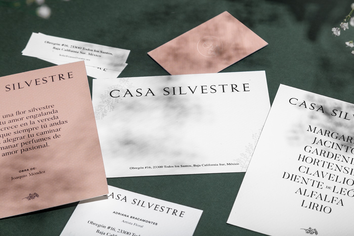 Casa Silvestre浪漫花店品牌logo設計與VI視覺設計，酒店VI設計，品牌視覺設計，企業(yè)VI設計，深圳VI設計，左右格局