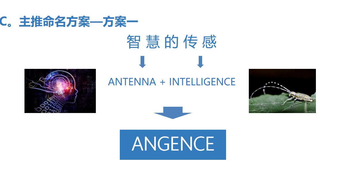 安智杰的品牌命名提升了品牌形象傳遞了產(chǎn)品價值